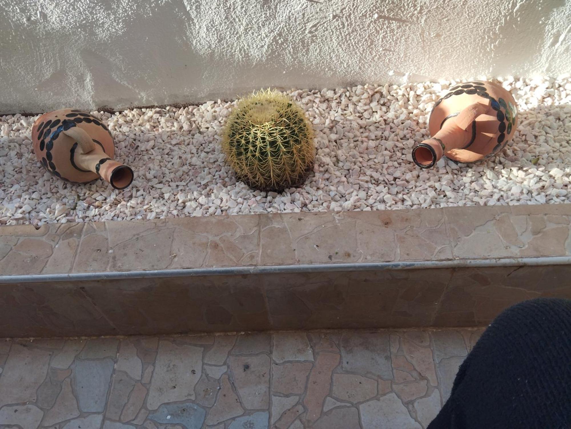 Rico,S House Villa Agadir Dış mekan fotoğraf